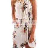 2020 Summer Burst Dress New Style Printed Sleeveless Sexy Hanging Neck Beach Skirt Women's Factory Direct Sales thumbnail-2