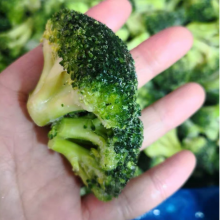 IQF Frozen Broccoli