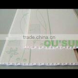 2012 Haining The Newest PVC Ceiling Nigeria