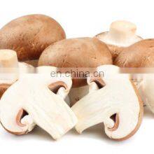 Good Price Mushrooms Pickled From Vietnam thumbnail-5