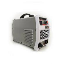 Portable inverter TIG/MMA DC Dual-use Welding Machine WS-250A Argon arc welder