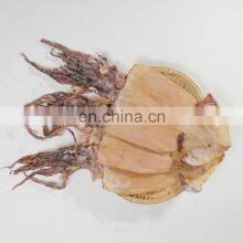 Hot Sale Head on Skin off Frozen Dried Squid Fillet