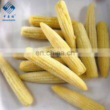 2020 New Crop Top Grade for Sale IQF Frozen Baby Corn Cut thumbnail-3