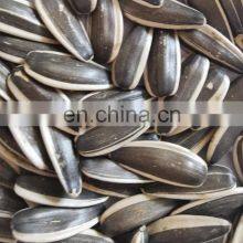 Wholesale Chinese Famous Brand Qiaqia Roasted Sunflower Seeds Sunflower Kernel Seeds Sunflower thumbnail-4