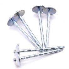 Galvanized Umbrella Head Roofing Nails South Africa thumbnail-3