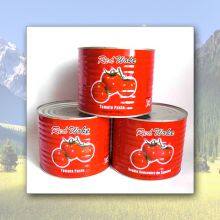 Canned Tomato Paste thumbnail-4