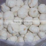 Chinese Pure White Garlic New Crop 2016 Fresh Best Qaulity thumbnail-4