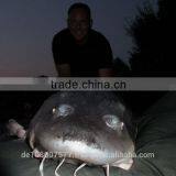 Best Quality Nylon Monofilament Fishing Lines 100% Made in Germany Bulk Spools 0.08-0.60mm MEGASTRONG-SOFT Light Grey thumbnail-6