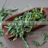 IMO certificate Chinese high mountain tea anti cancer green tea huang shan mao feng green tea