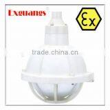 BAD-S corrosion proof explosion proof lamp