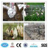 Cheap Chicken Rabbit Galvanized Hexagonal Wire Mesh