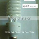 Spiral Energy Saving Lamp