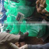 Fresh Frozen Coconuts thumbnail-3