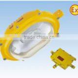 Hotsale Infield Explosion-proof IP65 Floodlight thumbnail-1