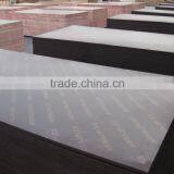 18mm Film Faced Plywood With Cheap Prices thumbnail-2