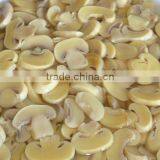 Champignon in Brine 48kg/drum