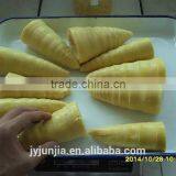 Fresh Bamboo Shoots With Tin thumbnail-1