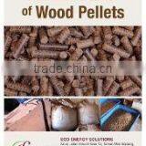 Eco Energy Solutions company overview - view 1 thumbnail