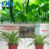 Potassium Humate For Spray Fertilizer To Stimulate Plant Growth thumbnail-5