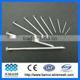 Common Round Iron Nail/concrete Iron Nail thumbnail-1
