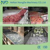 Potatoes Washing and Cleaning Machine thumbnail-4