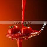 Wuhan Factory Honey Stick Filling Machine/back Sealing Liquid Stick Packing Machine thumbnail-4