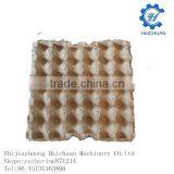 Fruit Apple Tray Paper Egg Tray Factory thumbnail-2
