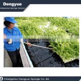 Agricultural Polyurethane High Densuty seed starter foam tray