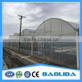Factory Price Galvanized Steel Frame Agricultural Plastic Green House thumbnail-2