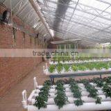 Lettuce System Hydroponic Green House thumbnail-2