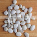Natural white pebble stone