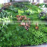 Fake Green Walls/fake Plant Wall for Indoor and Outdoor Decoration With Factory Price thumbnail-1