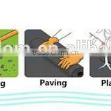 pp Non Woven Fabric Ground Cover thumbnail-6