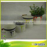 New Product Fashionable Factory Pprice Mini Galvanized Watering Can thumbnail-2