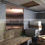 Live Canadian Lobster thumbnail-3