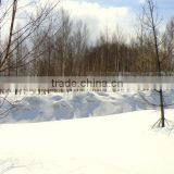 Kutchan Big Land thumbnail-1