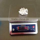 Frozen Baby Otopus IQF thumbnail-3