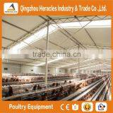 Heracles High Quality Chicken Poultry Farm Equipment/chicken Cages Plans thumbnail-5
