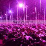 1pcs for Sale Grow Led Light E27 Indoor 7W 6 Red 1 Blue Hydroponic Grow Led Lamp for Flower Growth Vegetable Greenhouse thumbnail-3