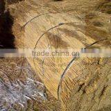 Thatching Water Reed thumbnail-5