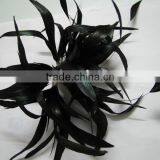 Feather Flower thumbnail-1