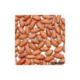 Roasted Peanut With Red Skin