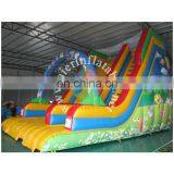 Hot Sale Inflatable Water Slide With Pool thumbnail-3