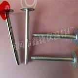 External Wall Metal Insulation Nail High Quality Wall Insulation Nail External Use of Engineering Insulation Nails thumbnail-4