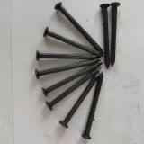 Concrete Nails 1kg Box Wire Concrete Nails in China Flat Head Steel Nail thumbnail-2