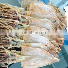 Dried Salted Squids