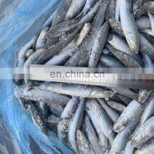 Good Price Anchovies Block Wholesale Frozen Anchovy thumbnail-4