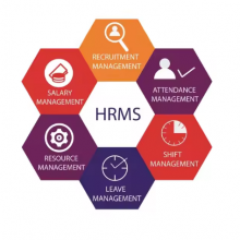 Buy Human Resource Management System | HRMS Software Development And Design With Customized Function Available