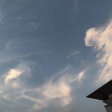 Wuhan You Jun Trading Co., Ltd. company overview - view 1 thumbnail