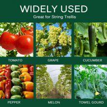 Secured Plastic Plant Clip, Plant Fixing Clips for Climbing Plants for Tomato thumbnail-4
